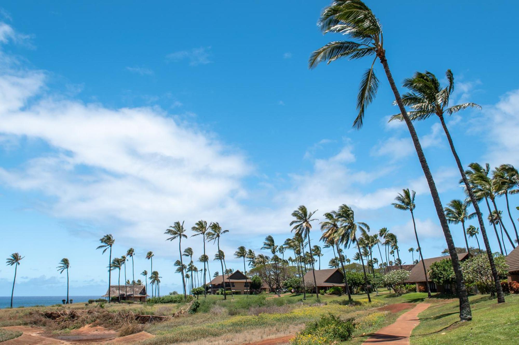 Kepuhi Beach Resort Maunaloa Стая снимка